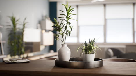Zimmerpflanze-Mit-Weißem-Blumentopf-Auf-Holztisch